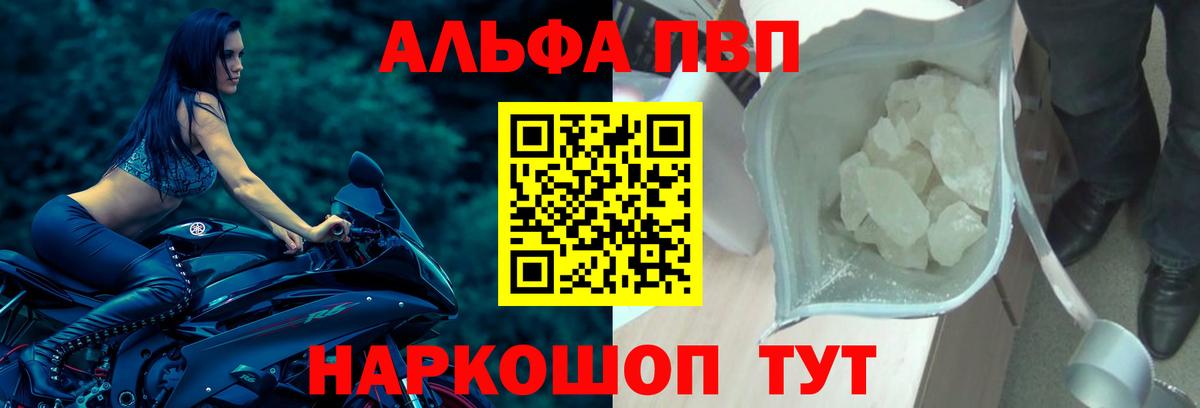 A-PVP СК Заводоуковск