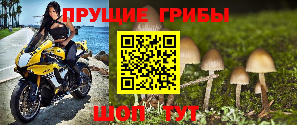 Псилоцибиновые грибы Magic Shrooms Заводоуковск