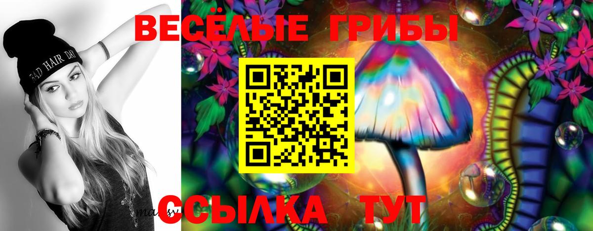 Галлюциногенные грибы Cubensis  Галлюциногенные грибы мицелий  Вход с VPN  Заводоуковск 